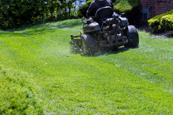 municipal-worker-mows-lawn-mower-gardener-cuts-grass